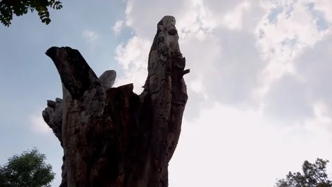 Low angle view of carved wooden sculpture on tree trunk against cloudy sky Stock Footage 334342013