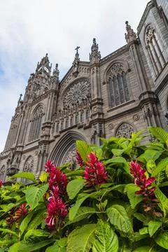 Low angle view of a cathedral Stock Photos