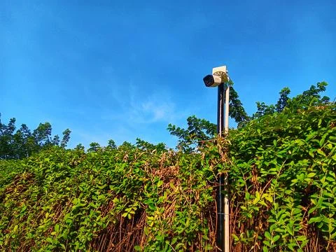 Low angle view of CCTV camera that installed in curtain creeper fence. Stock Photos