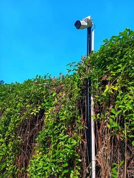 Low angle view of CCTV camera that installed in curtain creeper fence. Stock Photos