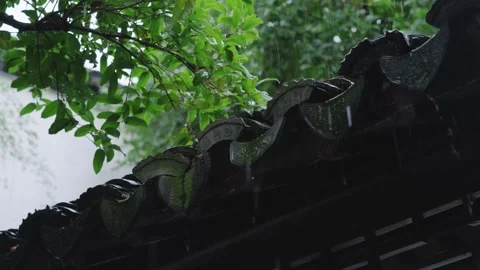 Low Angle View of Chinese Traditional Eaves in Rain, Green Leaves Overhead Stock Footage 345225557