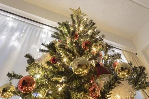 Low angle view of a christmas tree with sparkle lights into a house Stock Photos