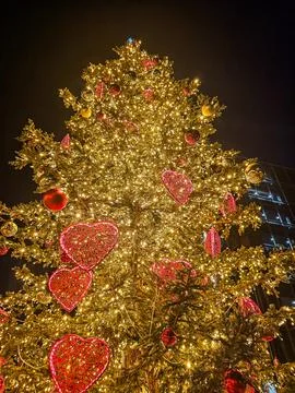 Low-Angle View of Christmas Tree with Yellow Lights and Red Heart Ornaments Stock Photos