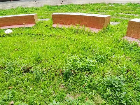 Low angle view of circular brick seating arrangement in a lush green park Stock Photos