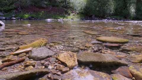 Low Angle View Of  A Clear Rocky Mountain Stream Flowing Stock Footage 157993786