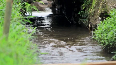 Low Angle View of Clear Water Flowing Through Small Stone Bridge Stock Footage 346444083