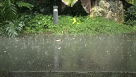 Low angle view close up to the surface of aspha concrete street road among th Stock Footage 218363777