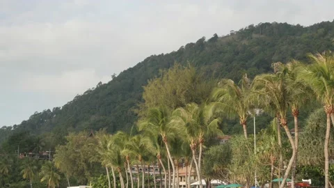 Low angle view of coconut palm trees on phuket beach Stock Footage 169017565