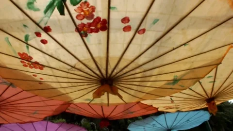 Low angle view. Colorful umbrellas hanging over the ceiling Stock Footage 300959427
