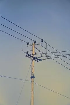 Low-angle view of a concrete utility pole with power transmission lines against Stock Photos