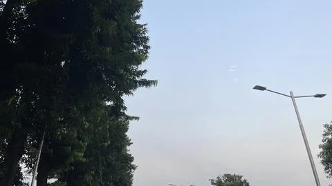 Low Angle View of Double Street Lamp and Tall Trees Against Sky Stock Photos