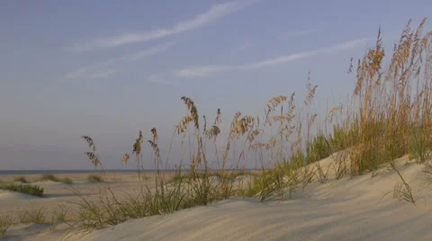 Low angle view from dunes of Brunswick County, NC beach Stock Footage 36956573