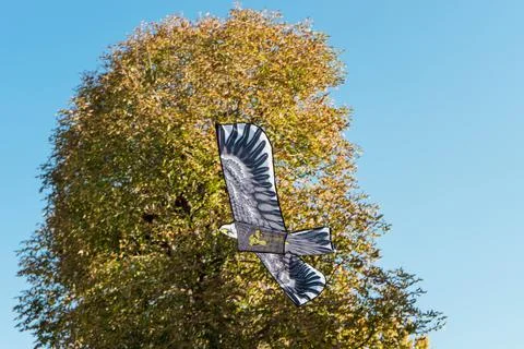 Low Angle View of Eagle Shaped Kite Flying in the Air Stock Photos