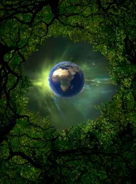 Low angle view of Earth, night sky and tree canopy Stock Illustration