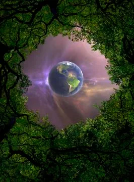 Low angle view of Earth, night sky and tree canopy Stock Illustration