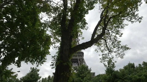 Low angle view of Eiffel Tower seen through trees in Paris Video stock 59865966