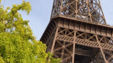 Low Angle View of the Eiffel Tower Behind Green Trees in Paris Stock Footage 334362592