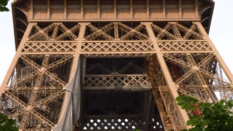 Low Angle View of the Eiffel Tower Through Green Tree Leaves Stock Footage 334652939