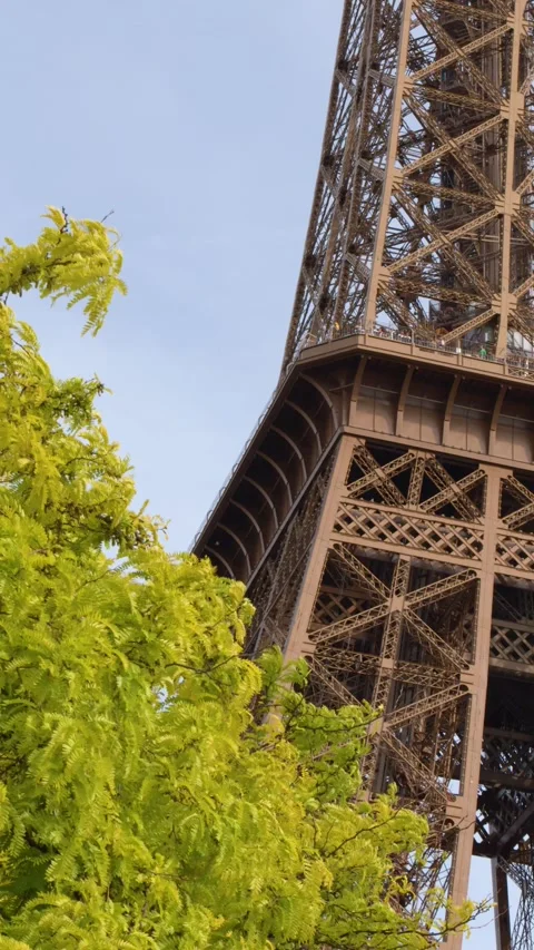 Low Angle View of the Eiffel Tower Behind Green Trees in Paris Stock Footage 335267795