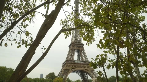 Low-angle view of Eiffel Tower framed by park trees with early autumn foliage Stock Footage 347977456