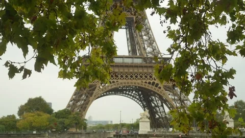 Low-angle view of Eiffel Tower framed by park trees with early autumn foliage Stock Footage 348110336
