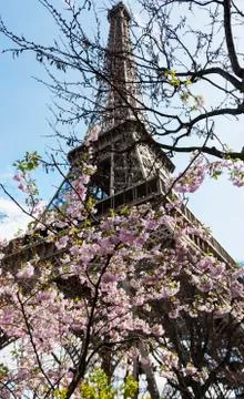 Low angle view of Eiffel Tower against sky, Paris, France 写真素材