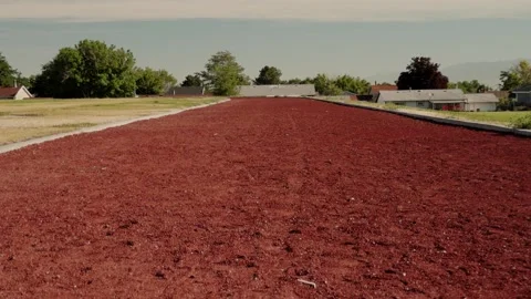 Low angle view of empty red running track under clear summer sky Stock Footage 338086302
