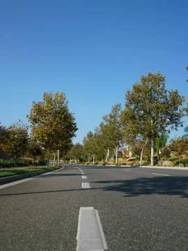 Low angle view of empty tree lined street on sunny day Stock Photos