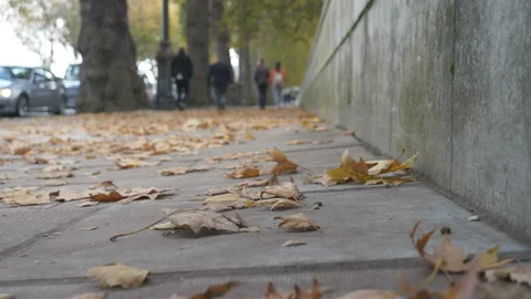 A low angle view of the fallen leaves on a sidewalk. Autumn in a city. Stock Footage 119672375