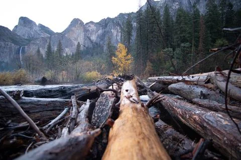 Low Angle View of Fallen Tree Logs With Fall Colors Trees and Water Falls in Stock Photos