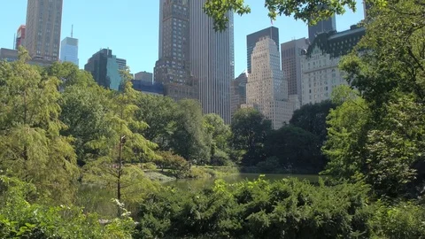 LOW ANGLE VIEW: Famous Manhattan skyline view from New York City Central park Stock Footage 72362564