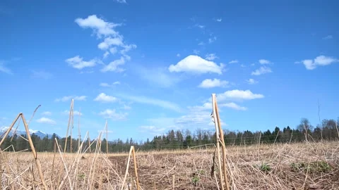 Low angle view of farmland field Stock Footage 152221235