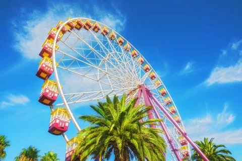 Low angle view of a Ferris wheel and palm trees Stock Photos