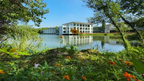 Low angle view of flower and grass field, pond and white buildings Stock Footage 287570997