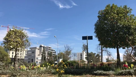 Low angle view of flowers and trees in Nicosia Stock Footage 89749389