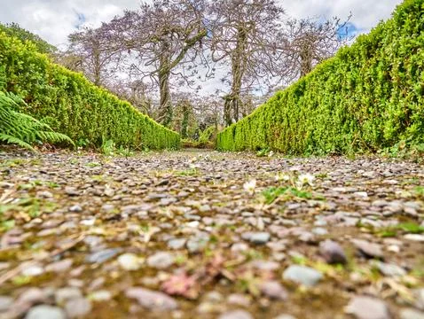Low angle view of a formal garden pathway Stock Photos