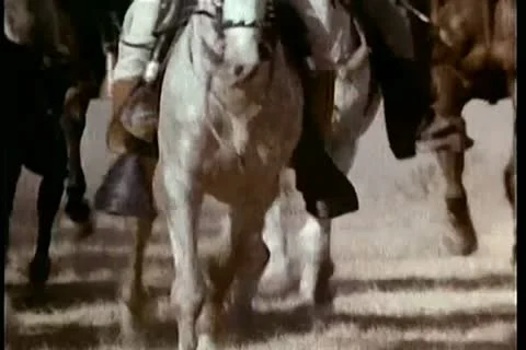 Low angle view galloping horses Stock Footage 11347673