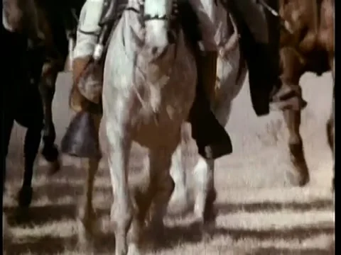 Low angle view galloping horses Stock Footage 260248317