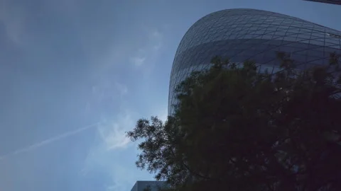 A low angle view of a glass office behind a tree. Stock Footage 109536546