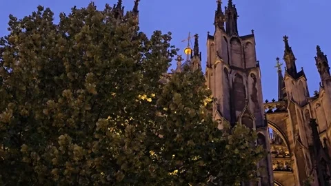 Low angle view of Gothic spires of Cologne Cathedral through tree foliage a.. Stock Footage 345685031