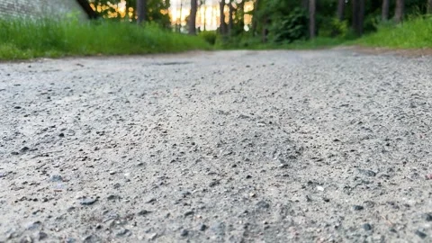 Low angle view of gravel road at sunset through green forest Stock-Footage 337434521