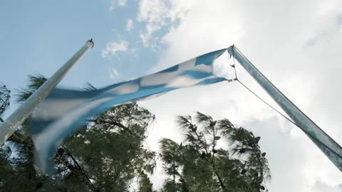 Low angle view of Greek flag fluttering on the wind against pine tree and sky. Stock Footage 151891577