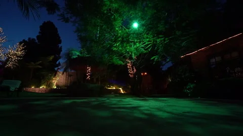 Low angle view of a green-lit tree in a backyard garden at dusk Stock Footage 345541960