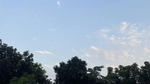 Low Angle View of Green Tree Tops Against Bright Sky with Clouds Stock Photos