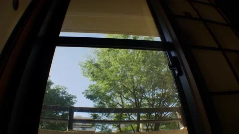 Low angle view of green trees shaking in the wind from the balcony in HD Vidéo 153445408