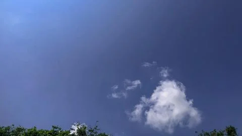 Low Angle View of Green Trees Top Against Bright Blue Sky and White Clouds Fotos Stock