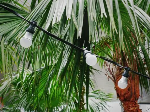 Low Angle View of Group of Hanging Decorative Light Bulbs Stock Photos