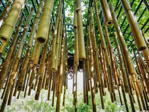 Low Angle View of Hanging Decorative Bamboo Sticks Stock Photos