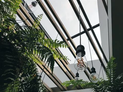 Low Angle View of Hanging Light Bulbs Against Open Roof Design Stock Photos