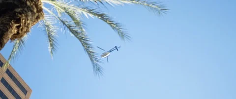 Low angle view of helicopter flying over the palm tree and city building Video stock 103413557
